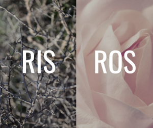 RIS- och ROS-kort från Svenska Freds.